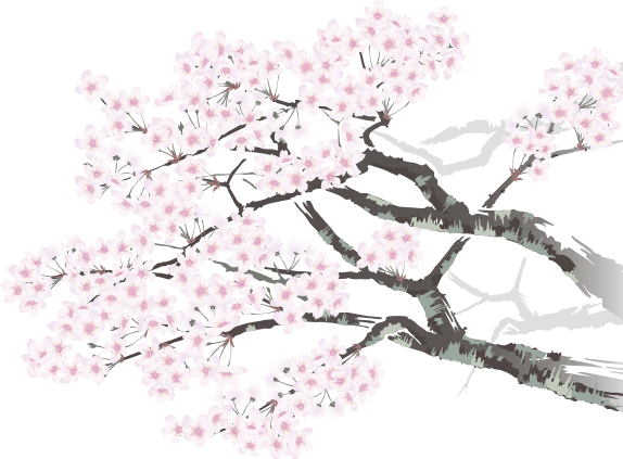 桜